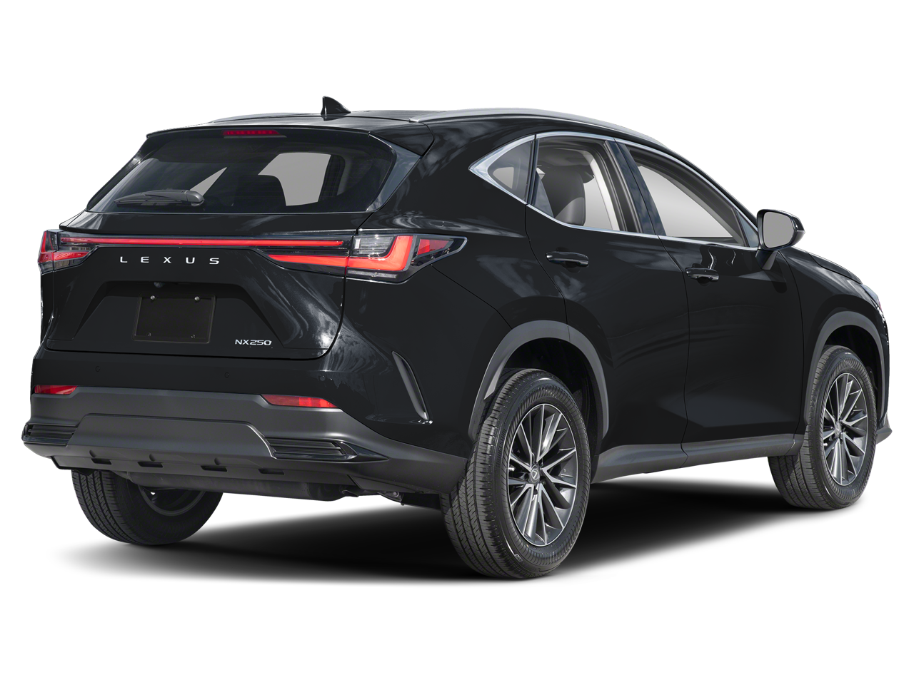2024 Lexus NX 250 Premium