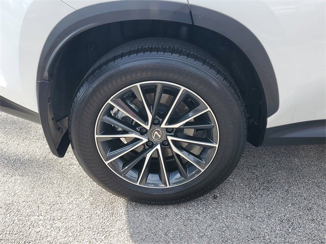 2025 Lexus NX 250 Base