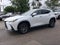 2025 Lexus NX 250 Base