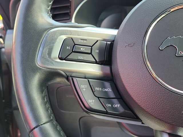 2019 Ford Mustang GT Premium California Special Package