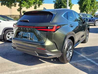 2024 Lexus NX 250 Premium