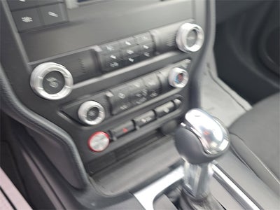 2023 Ford Mustang EcoBoost