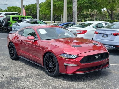 2019 Ford Mustang EcoBoost